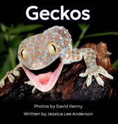Geckos