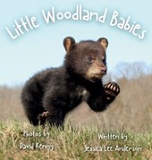 Anderson, J: Little Woodland Babies