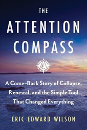 The Attention Compass