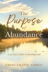 The Purpose of Abundance