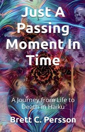 Just A Passing Moment In Time