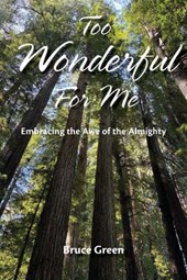 Too Wonderful for Me