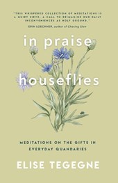 In Praise of Houseflies