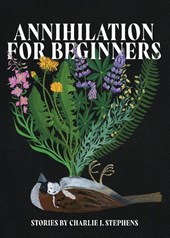 Annihilation for Beginners