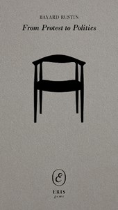 From Protest to Politics