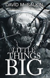 Little Things Big