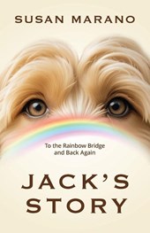 Jack's Story