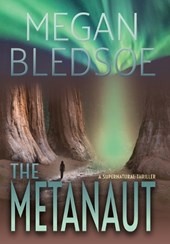 The Metanaut: a supernatural thriller