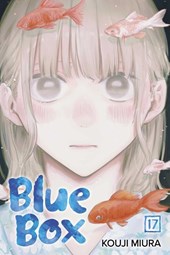 Blue Box, Vol. 17