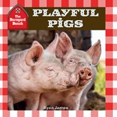Playful Pigs