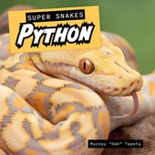 Python