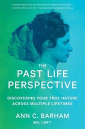 The Past Life Perspective