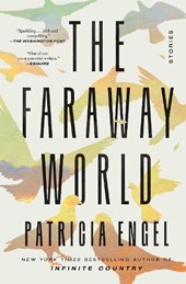 The Faraway World
