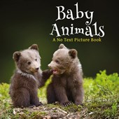 Baby Animals, A No Text Picture Book