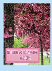 The Culture and Perception Link