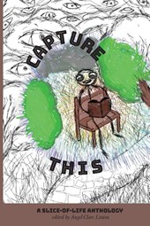 Capture This - A Slice-of-Life Anthology