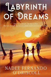 Labyrinth of Dreams