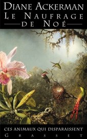 Le naufrage de Noé