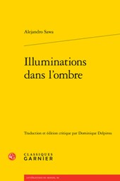 Illuminations Dans l'Ombre