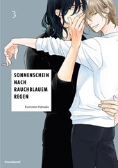 Sonnenschein nach rauchblauem Regen - Band 3