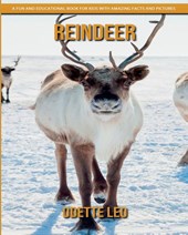 Reindeer