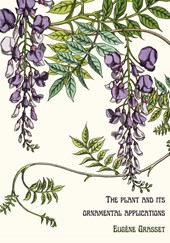 The plant and its ornamental applications