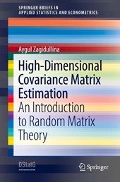 High-Dimensional Covariance Matrix Estimation