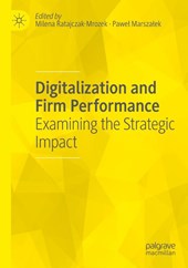 Digitalization and Firm Performance