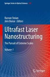 Ultrafast Laser Nanostructuring