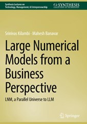 Large Numerical Models from a Business Perspective