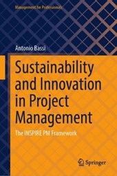 Sustainability and Innovation in Project Management