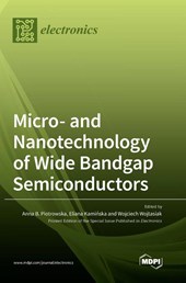 Micro- and Nanotechnology of Wide Bandgap Semiconductors
