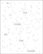 To the Moon via the Beach