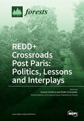 REDD+ Crossroads Post Paris