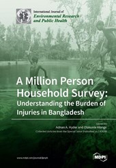 A Million Person Household Survey