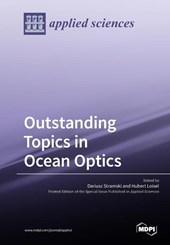 Outstanding Topics in Ocean Optics