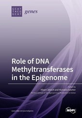 Role of DNA Methyltransferases in the Epigenome