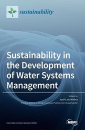 Sustainability in the Development of Water Systems Management