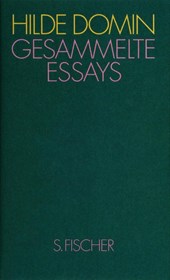 Gesammelte Essays