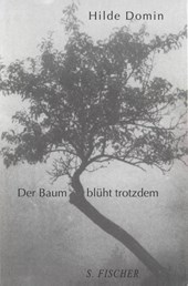 Der Baum blüht trotzdem