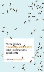 Ameisengesellschaften