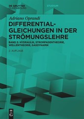 Differentialgleichungen in der Stromungslehre