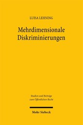 Mehrdimensionale Diskriminierungen