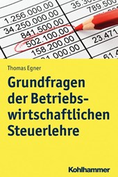 Grundfragen der Betriebswirtschaftlichen Steuerlehre