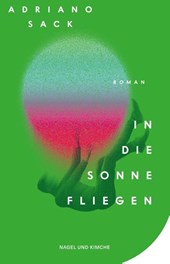 In die Sonne fliegen