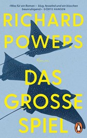 Das große Spiel