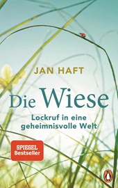 Die Wiese