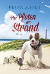 Vier Pfoten am Strand