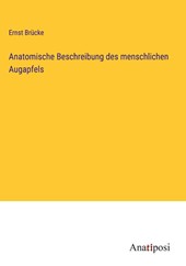 Anatomische Beschreibung des menschlichen Augapfels