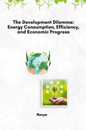 The Development Dilemma: Energy Consumption, Efficiency, and Economic Progress